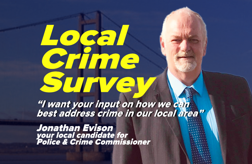 Local Crime Survey